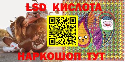 a pvp Новокубанск