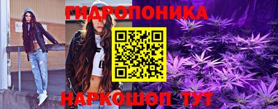 прущие крисы Новозыбков