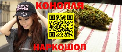 прущие крисы Новозыбков