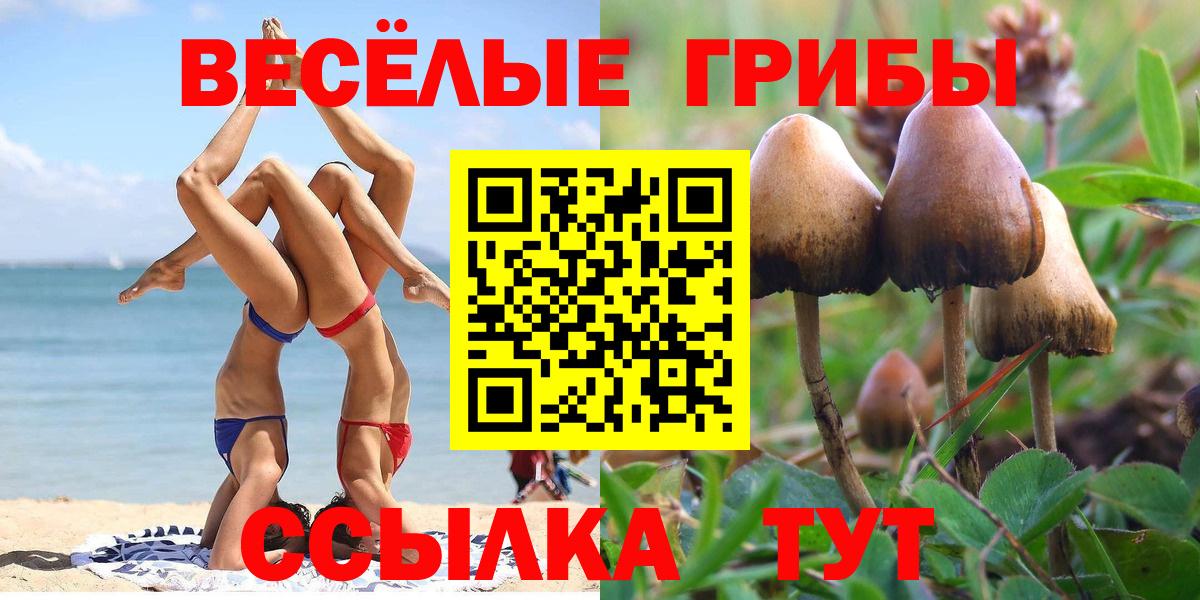 Псилоцибиновые грибы мухоморы Урус-Мартан