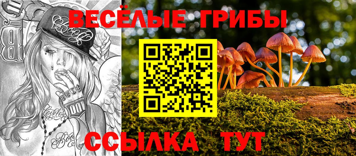 Галлюциногенные грибы Psilocybe  Галлюциногенные грибы мухоморы  Урус-Мартан  Вход с VPN 